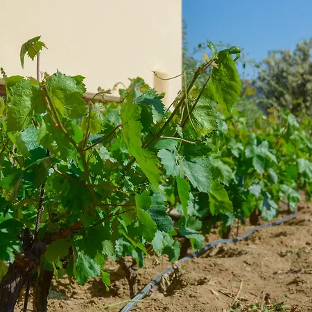 Naxos Prázdninový dům Kato Sangrion