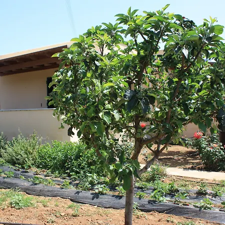 Prázdninový dům Naxos Kato Sangrion