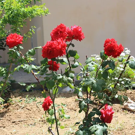 Naxos Prázdninový dům