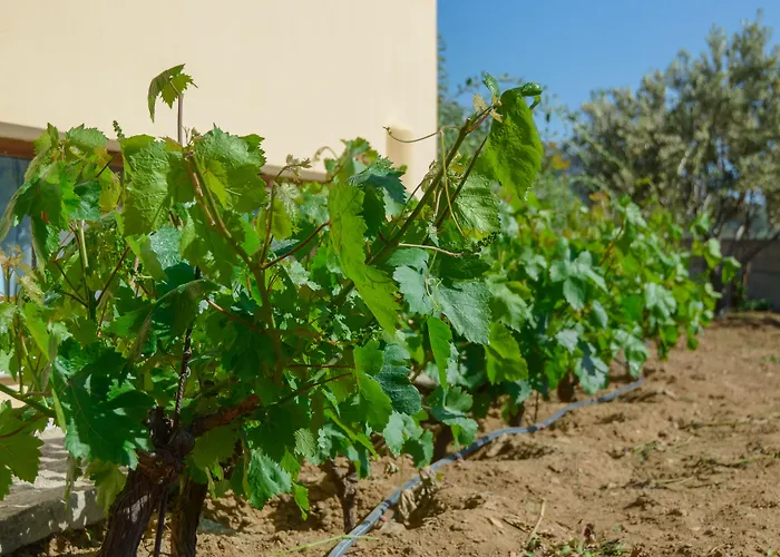 Naxos Prázdninový dům Kato Sangrion