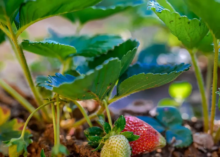 Naxos Prázdninový dům *
