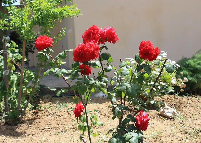 Naxos Prázdninový dům