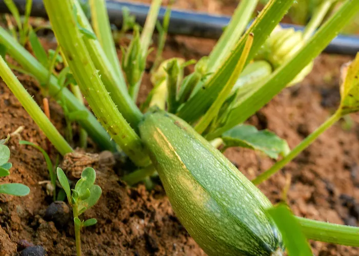 Naxos Prázdninový dům *