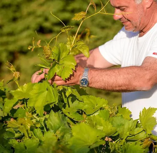Prázdninový dům Naxos Kato Sangrion