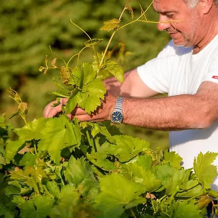 Holiday home Naxos Kato Sangrion