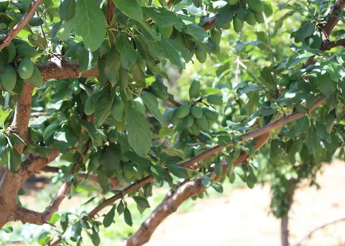 Naxos Casa vacanze *